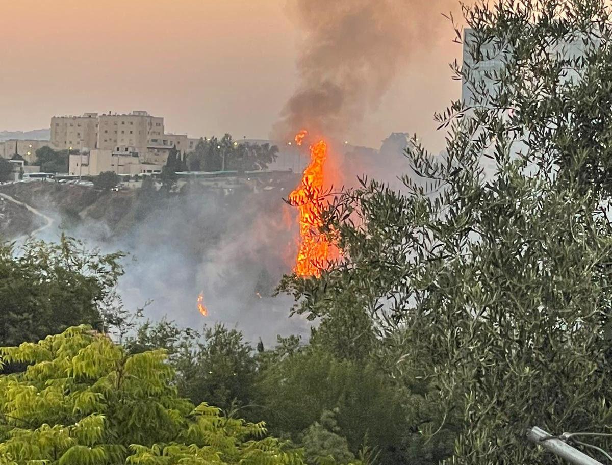 ×©×¨×™×¤×ª ×—×•×¨×© ×¤×¨×¦×