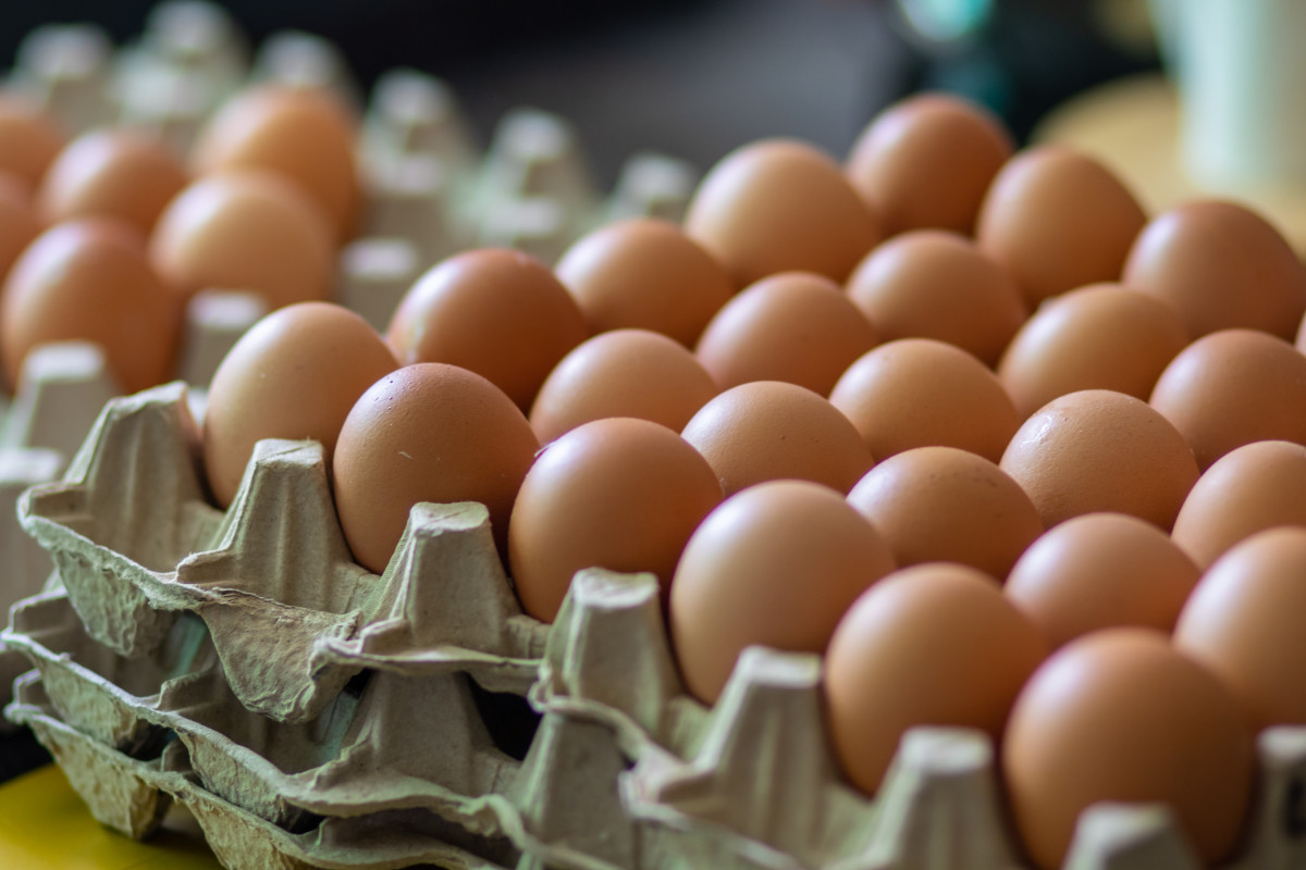 200 מיליון ביצי מאכל: משרד החקלאות מאשר ייבוא מרומניה