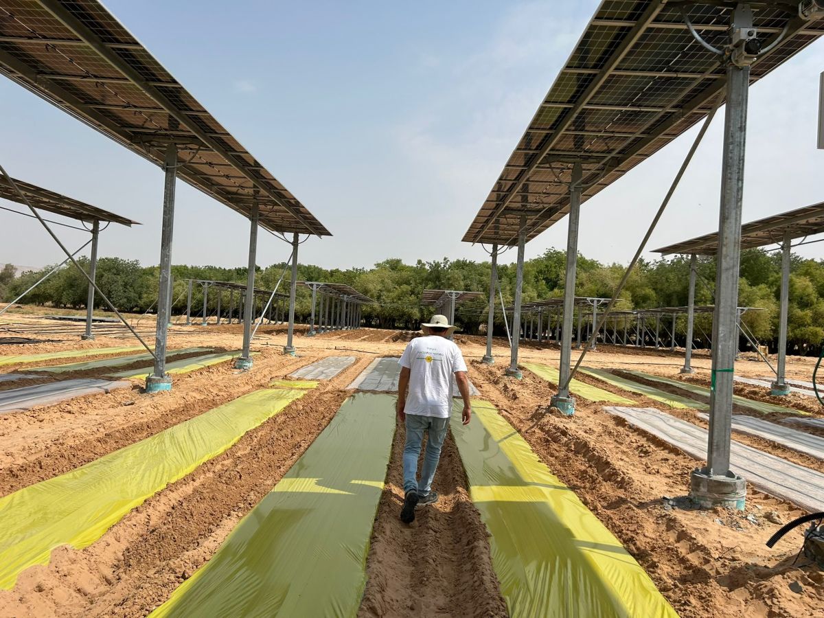 מעצמת דזרטק: המנוע הכלכלי החדש של ישראל נחשף לראשונה