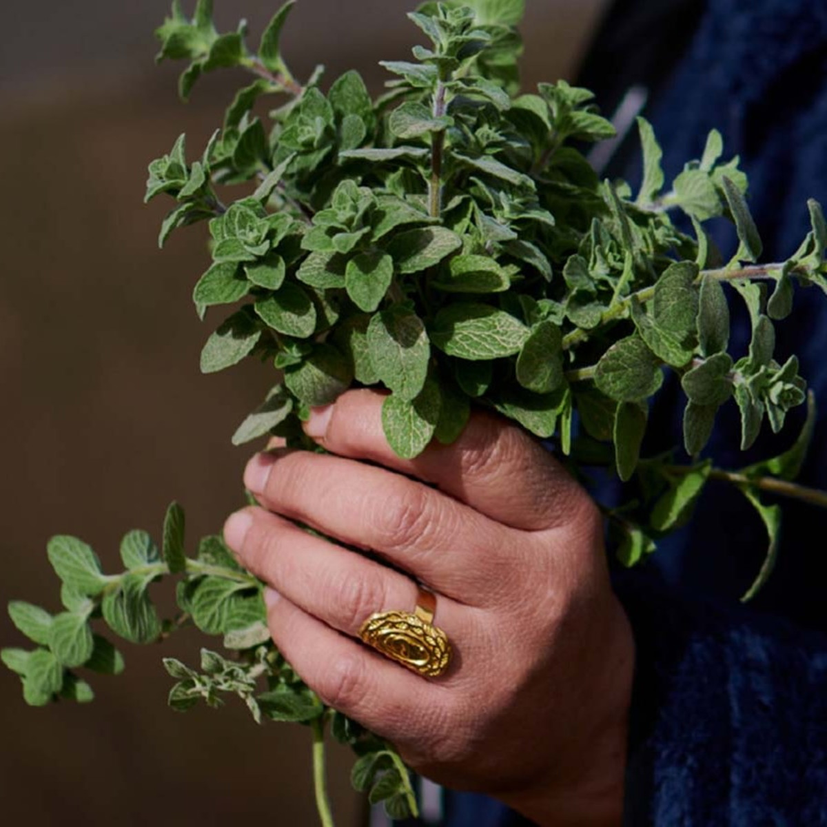 לא מבטלים השראה: 13 המלצות תרבות לימים קשים | רותי קדוש