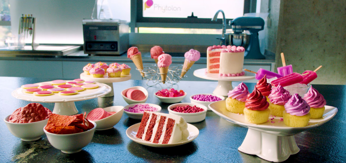 גאווה ישראלית: חברת פיטולון קיבלה את אישור ה-FDA - ועוררה עניין רב בארה