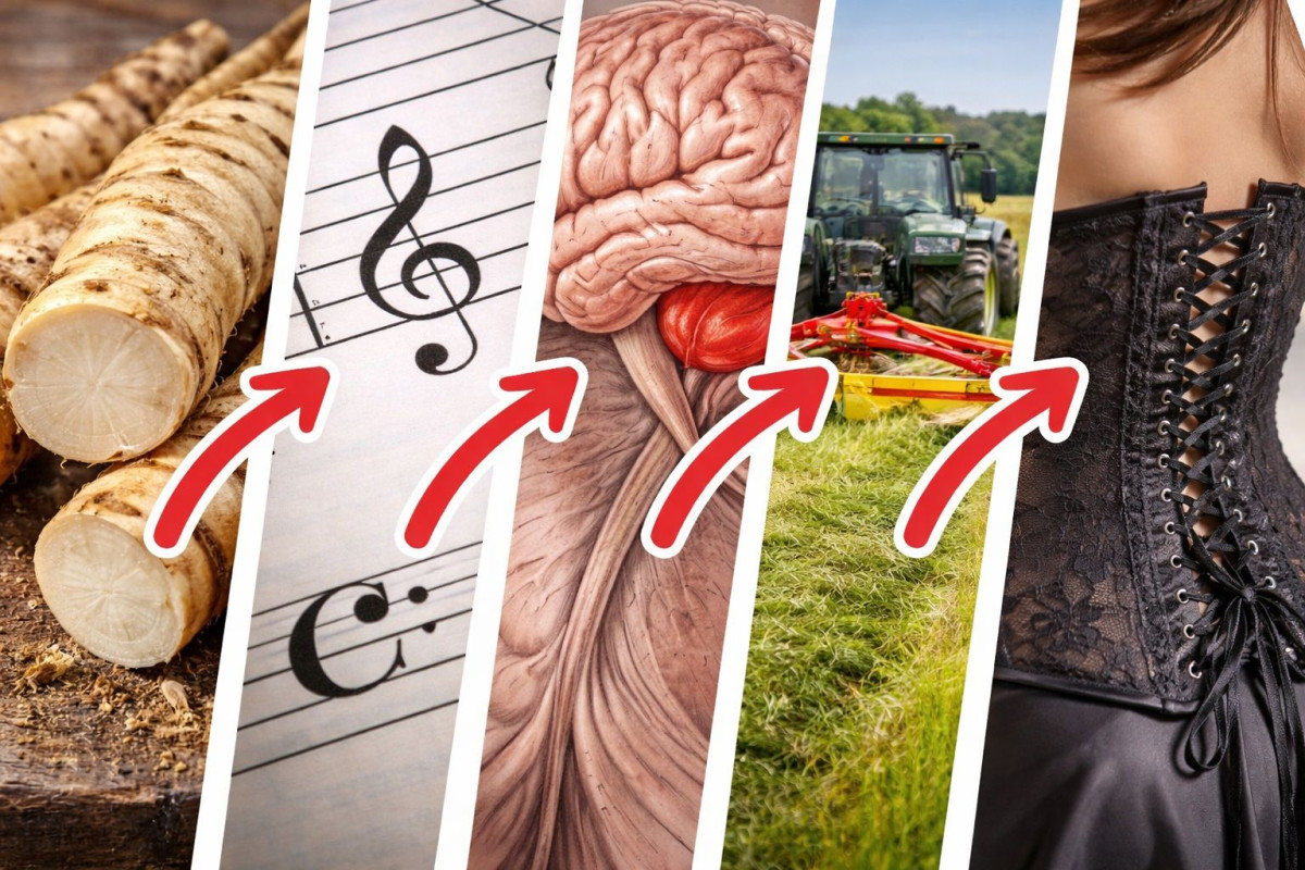 בחנו את עצמכם: הדברים הקטנים שיש להם שמות מפתיעים