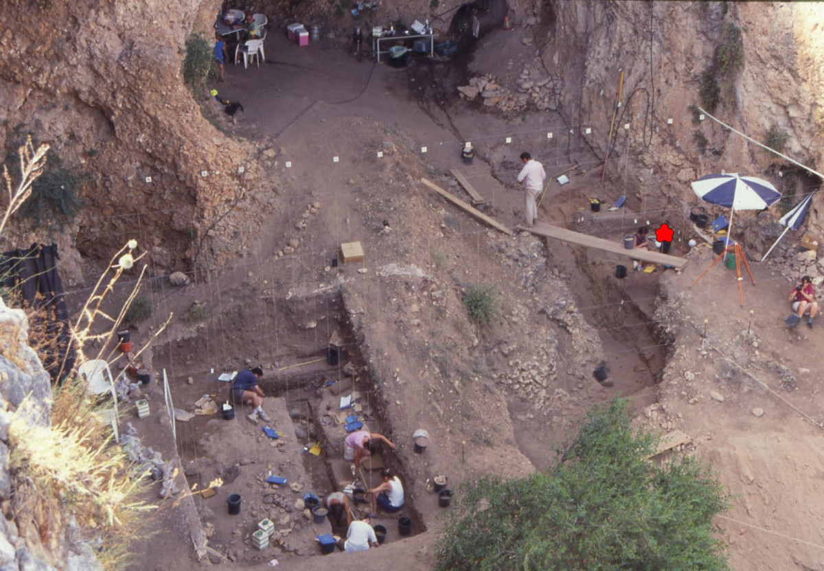 תגלית מטלטלת בגליל: שלד תינוק ניאנדרטלי חושף סוד אבולוציוני שלא היה ידוע