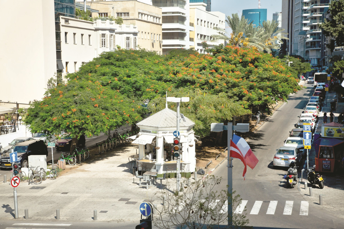 שב"חים בקירור: שלושה פלסטינים הסתתרו במקרר מזון בתל אביב