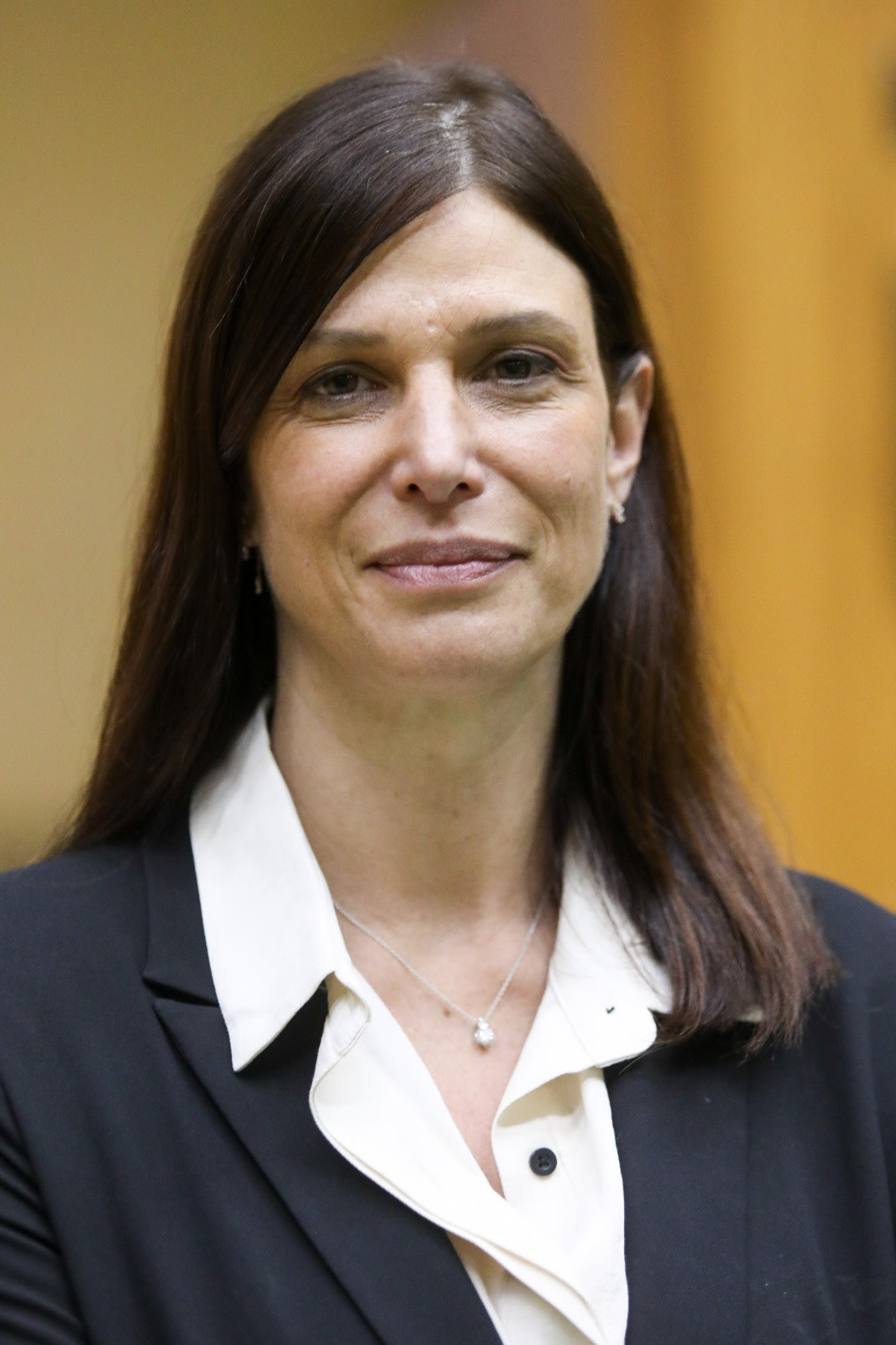 במהלך המהומות ביפו: רכביה של חברת כנסת אפרת רייטן הוצתו | חדשות מעריב