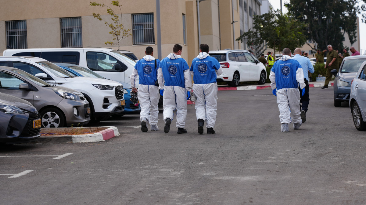 זעקת מערך זיהוי החללים: 