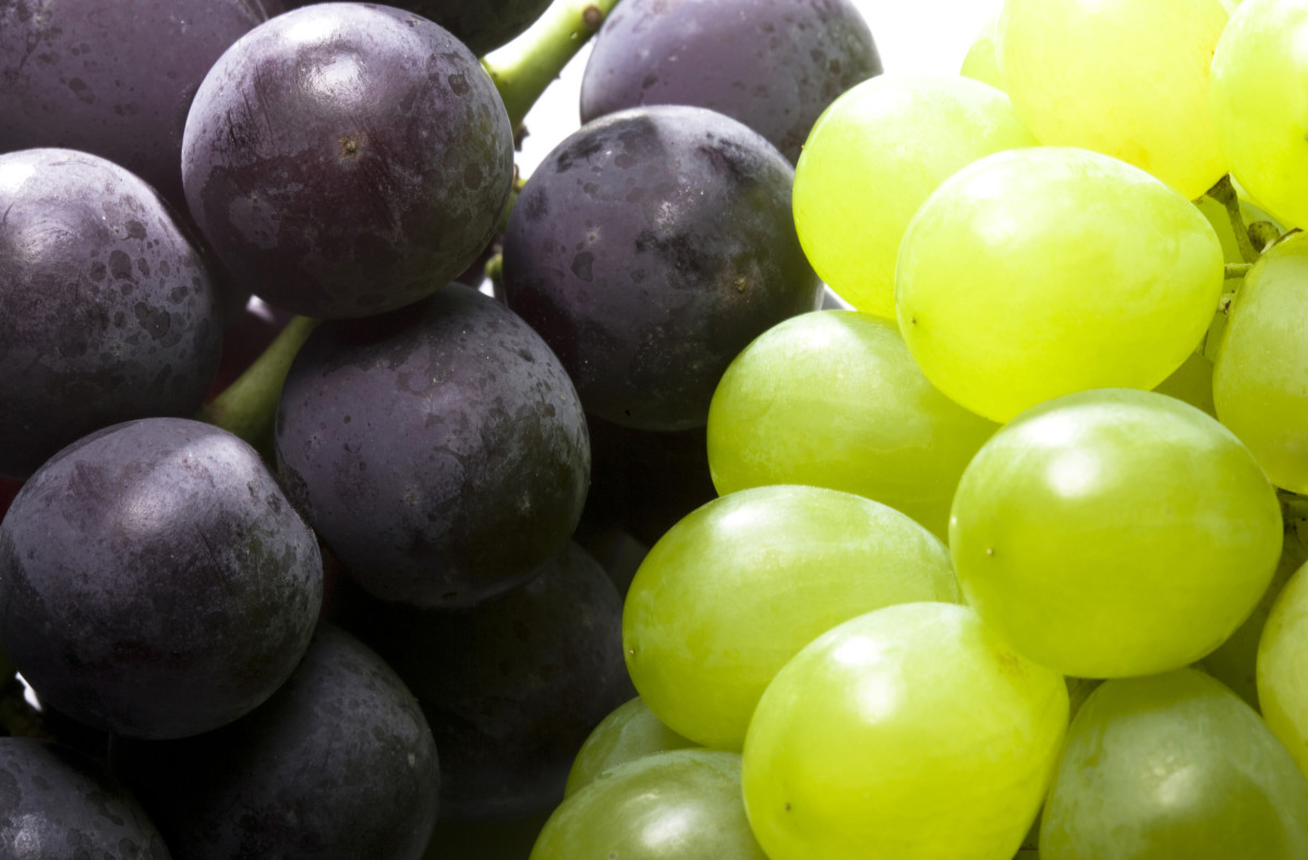 Discover the surprising benefits of grapes: a rich source of iron and potassium | Dr. Maya Roseman
