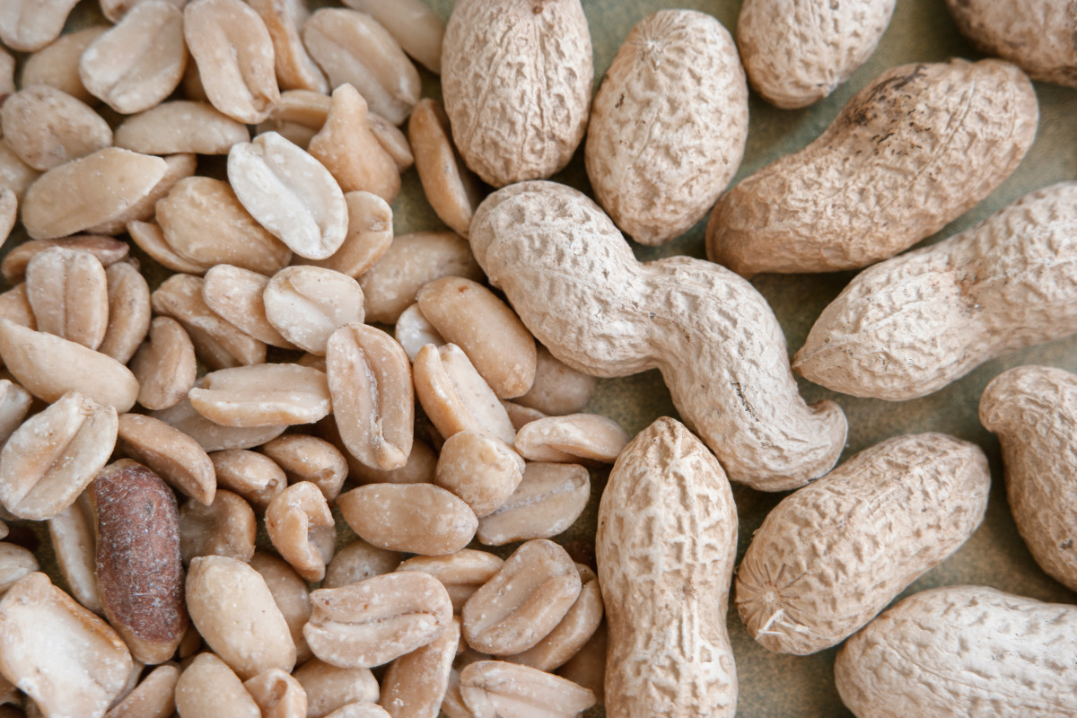 Cure for Peanut Allergy: A Breakthrough Discovery?