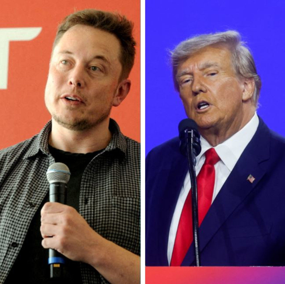 Collaborating: Trump and Musk in Talks About Potential White House Advisory Role