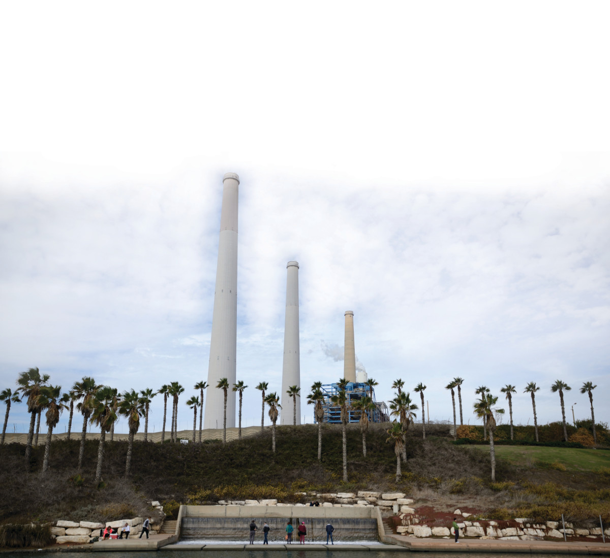 השר אלי כהן: 