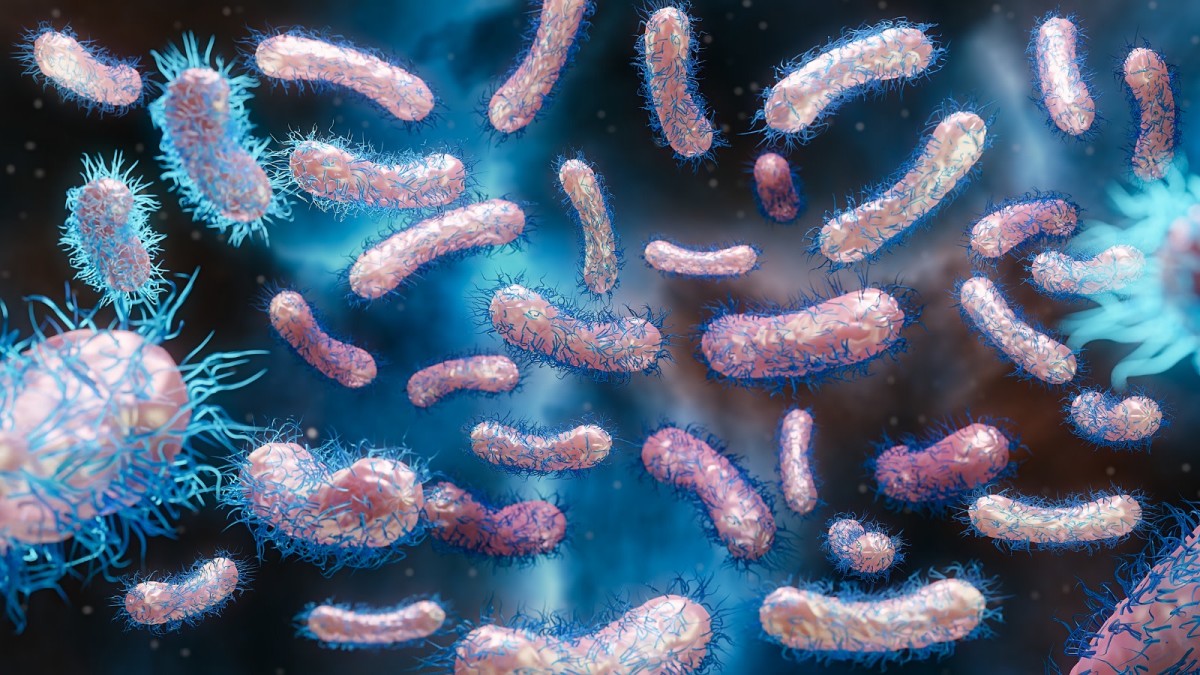 Outbreak of antibiotic-resistant infections reported at Rambam Hospital