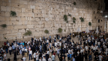 סליחות בכותל המערבי 2026: אלו זמני התפילות - לחצו כאן לשידור החי
