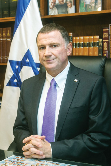 ח"כ יולי אדלשטיין