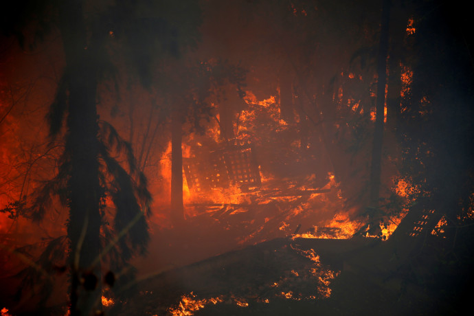 השריפה בחיפה (צילום: רויטרס)