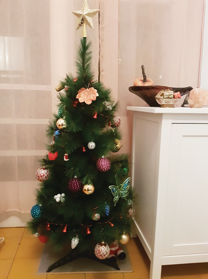 עץ חג המולד של שחר בן-פורת (צילום: אלבום פרטי)