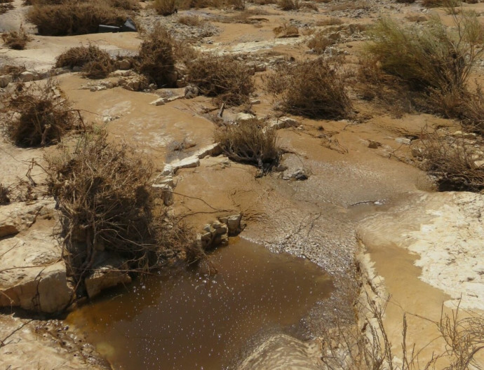 דליפת שפכים בנחל אשלים (צילום: בעז פריפלד רשות הטבע והגנים)