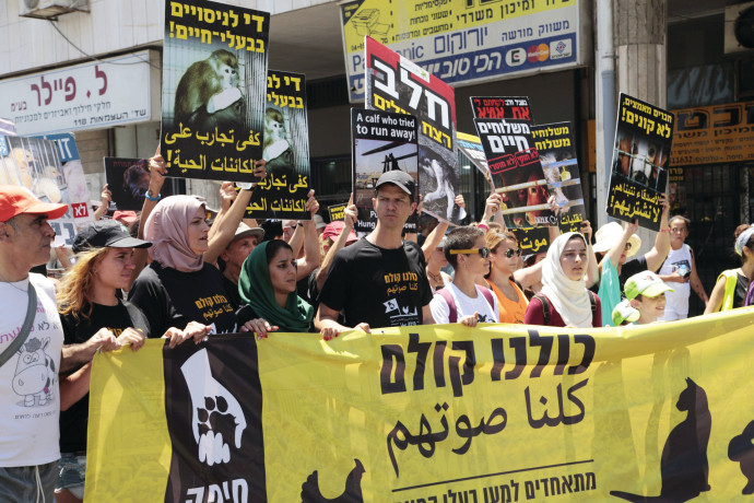 צעדת "כולנו קולם" בחיפה למען בעלי חיים (צילום: יואב בן דוב)