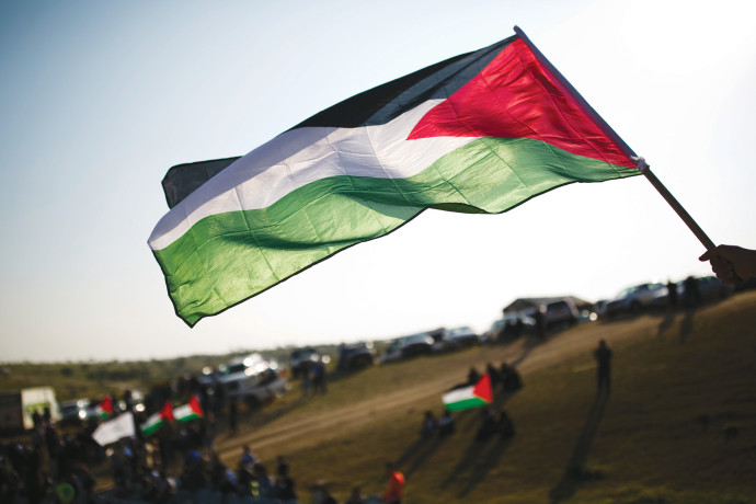 דגלי פלסטין באירועי יום האדמה באום אל־חיראן, מרץ 2016 (צילום: קורינה קרן פלאש 90)