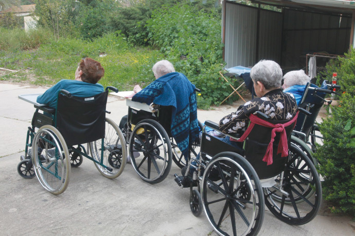 קשישים סיעודיים על כסאות גלגלים (צילום: יוסי אלוני)