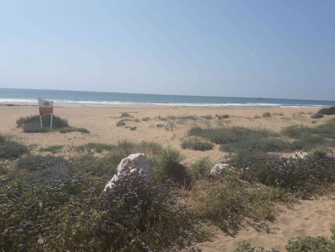 חוף כזיב (צילום: גידי בטלהיים, המשרד להגנת הסביבה)