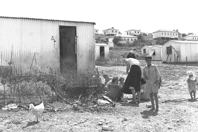 שנת 1952 עולים מעיראק  (צילום: דוד אלדן- לע"מ)