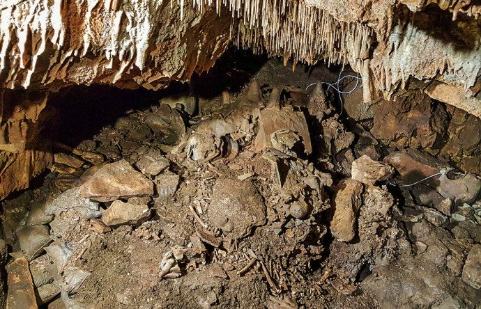 עצמות במערת פקיעין (צילום: ד"ר הילה מאי)
