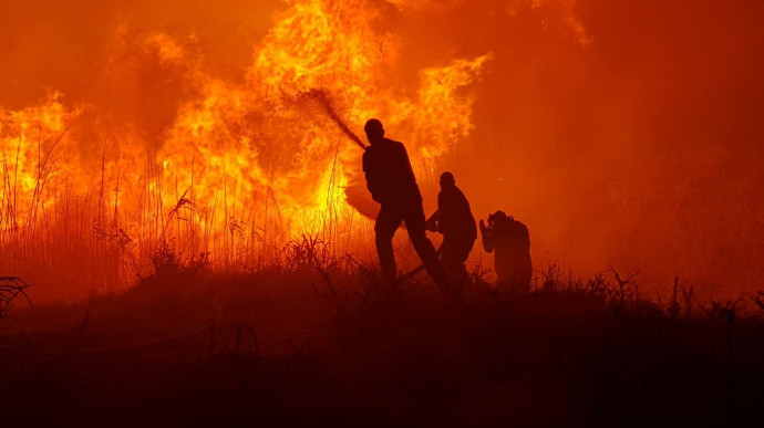 שריפה גדולה ביער שוקדה (צילום: משה ברוכי, קק"ל)
