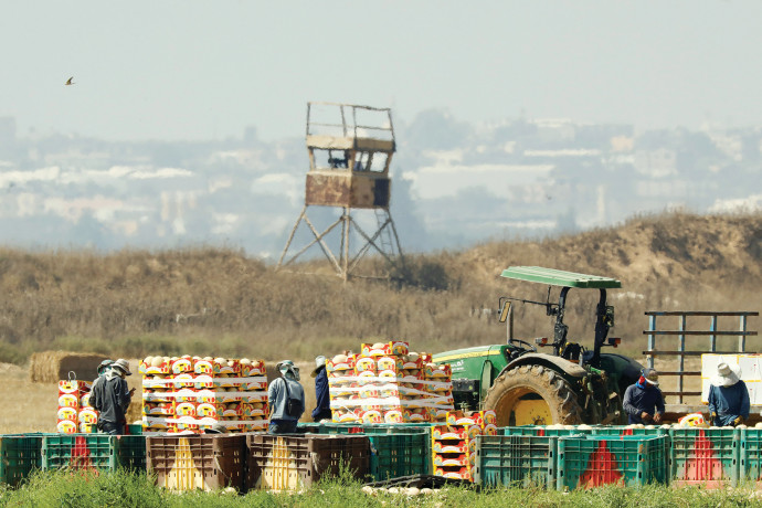 חקלאים בעוטף עזה (צילום: רויטרס)
