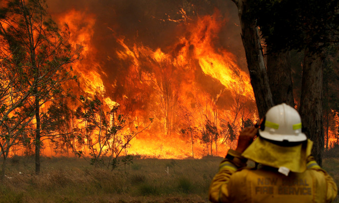 שריפה באוסטרליה (צילום: רויטרס)