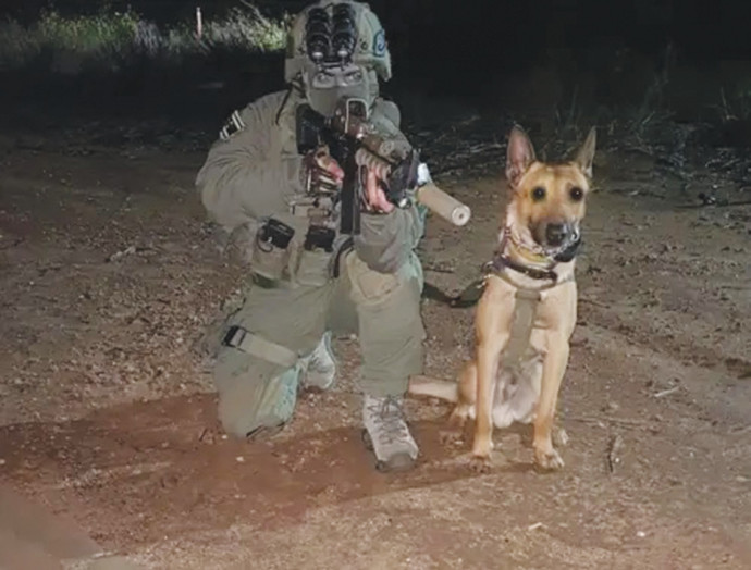 לוחם ימ"מ וכלבו  (צילום: דוברות המשטרה)