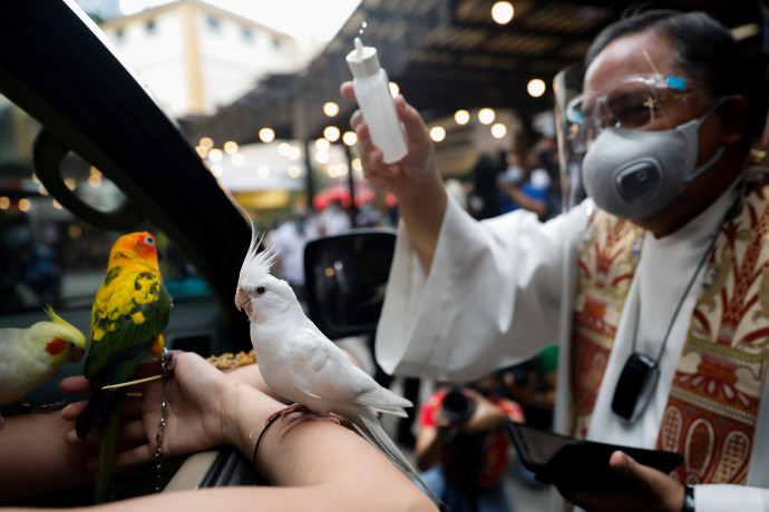 כומר קתולי מברך את הציפורים (צילום: רויטרס)