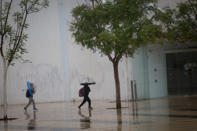 גשם בת"א (צילום: מרים אלסטר, פלאש 90)