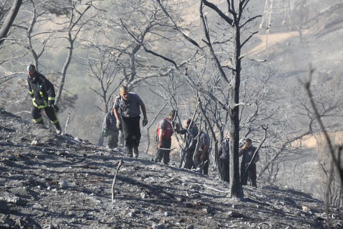 אסון הכרמל: הנשים שאיבדו את יקיריהן משחזרות את השיחה ...