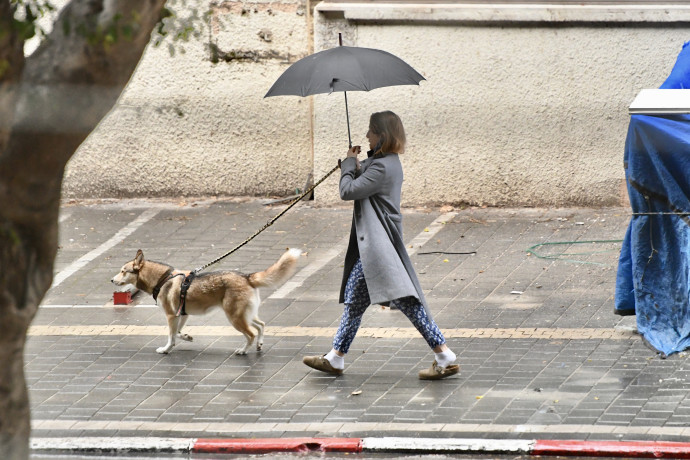  גשם בתל אביב (צילום: אבשלום ששוני)