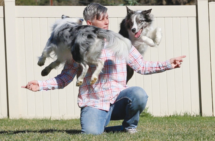 לרלהאם ושני הכלבים וויש והלו  (צילום: Guinness World Records)