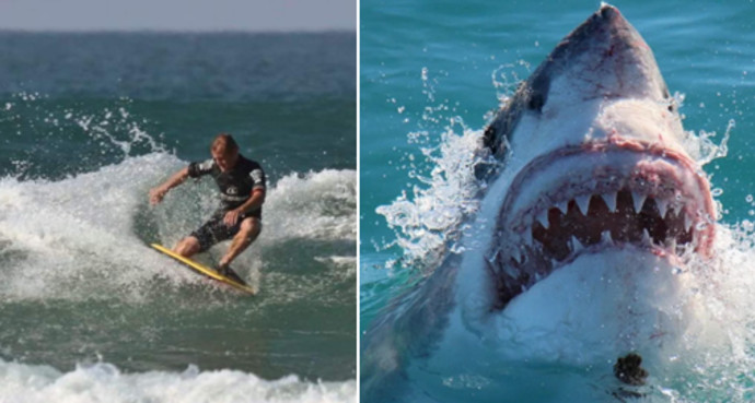 גולש מקצועי נאכל בידי כריש ימים ספורים לפני חתונתו