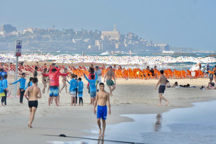 קיץ בישראל (צילום: אבשלום ששוני)