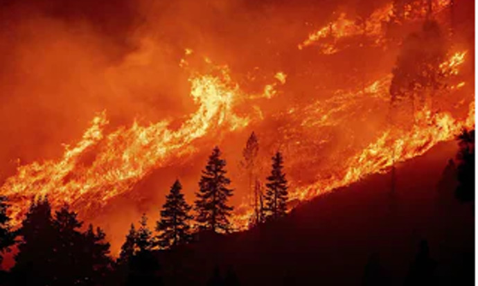 השריפה באגם טאהו, קליפורניה (צילום: צילום מסך יוטיוב)