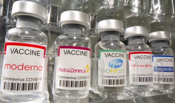 חיסונים נגד הקורונה (צילום: REUTERS/Dado Ruvic)