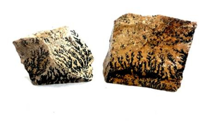 האבנים המסתוריות  (צילום: בידספיריט)