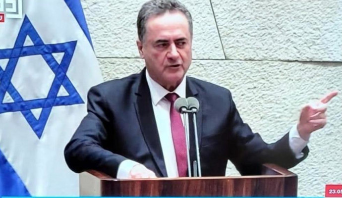 חבר הכנסת ישראל כ"ץ במליאה (צילום: צילום מסך ערוץ כנסת)