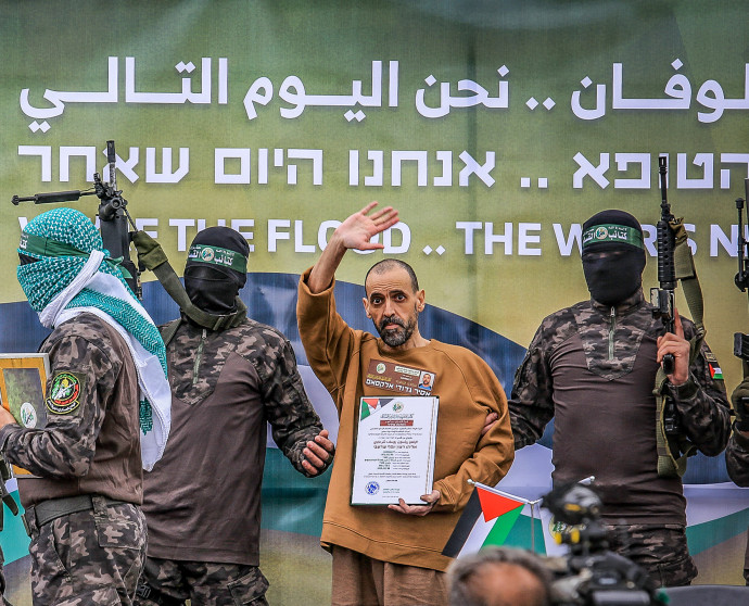 אלי שרעבי