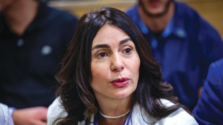 מירי רגב (צילום: חיים גולדברג פלאש 90)