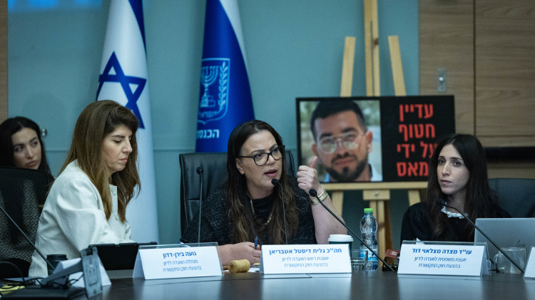 גלית דיסטל בראש הוועדה המיוחדת לחוק התקשורת בכנסת (צילום: יונתן זינדל, פלאש 90)