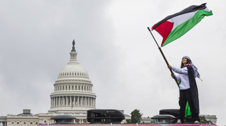 מפגינים פרו פלסטינים (צילום:  AASHISH KIPHAYET/Middle East Images/AFP via Getty Images)
