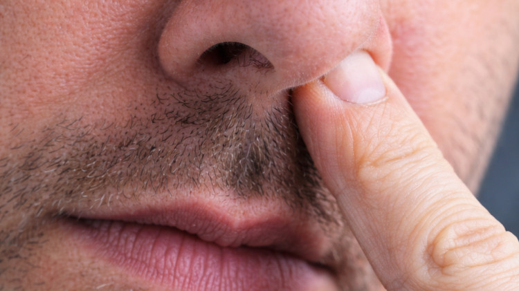 חיטוט באף (צילום: AI)