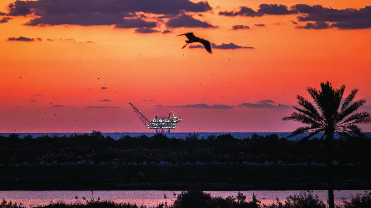 מאגר לוויתן (צילום: דור פזואלו, פלאש 90)