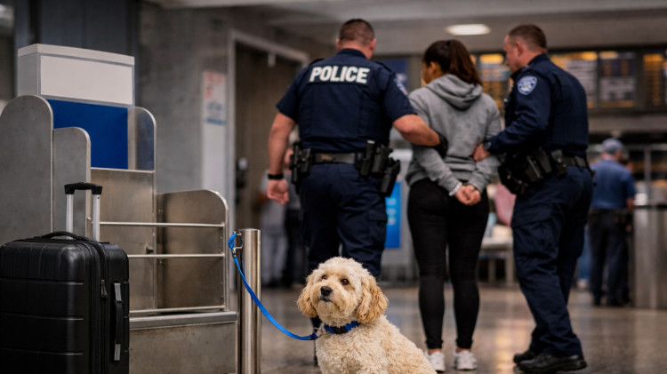 מעצר בגלל כלב (צילום: AI)