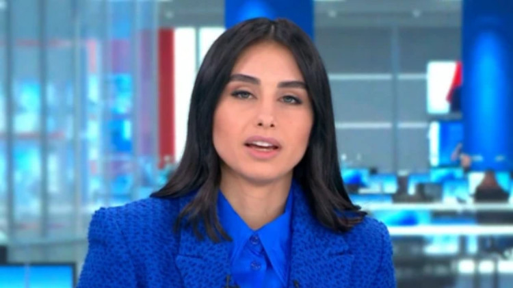 מגי טביבי (צילום: ערוץ 14)