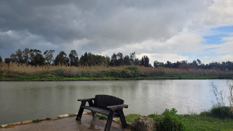 מעונן, גשם (צילום: רשות הטבע והגנים)